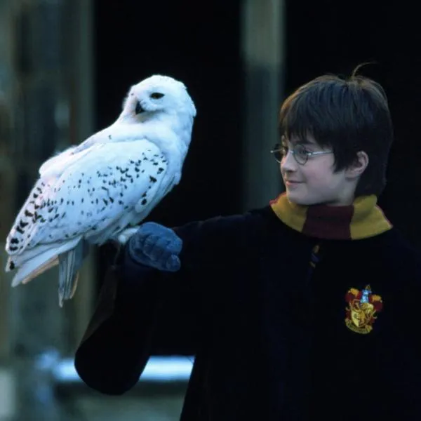 Image Harry Potter and the Sorcerer's Stone™ in Concert