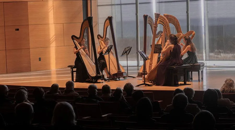 Image Bienen Harp Studio