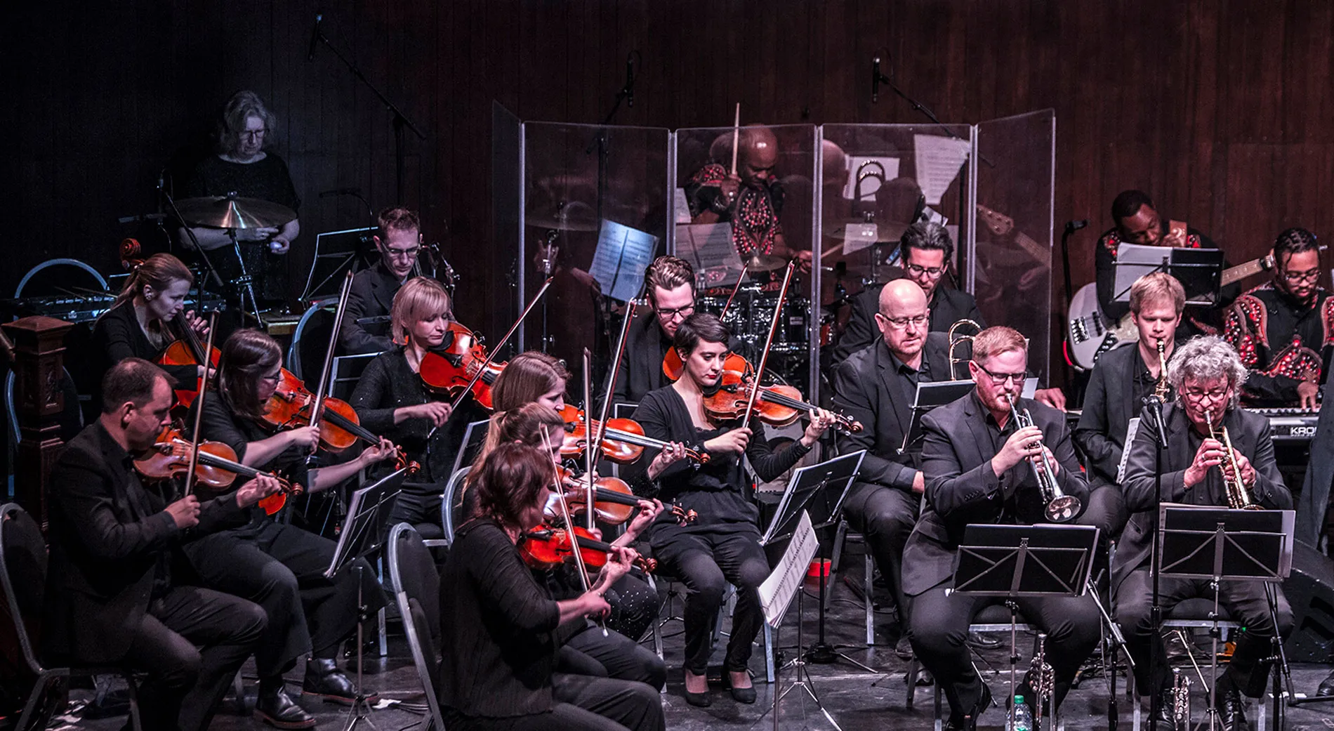 Image Manchester Camerata