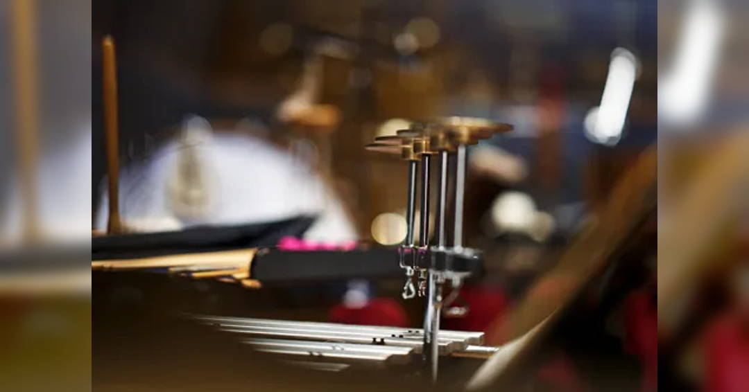 Image Philharmonic Day – Concert with percussion