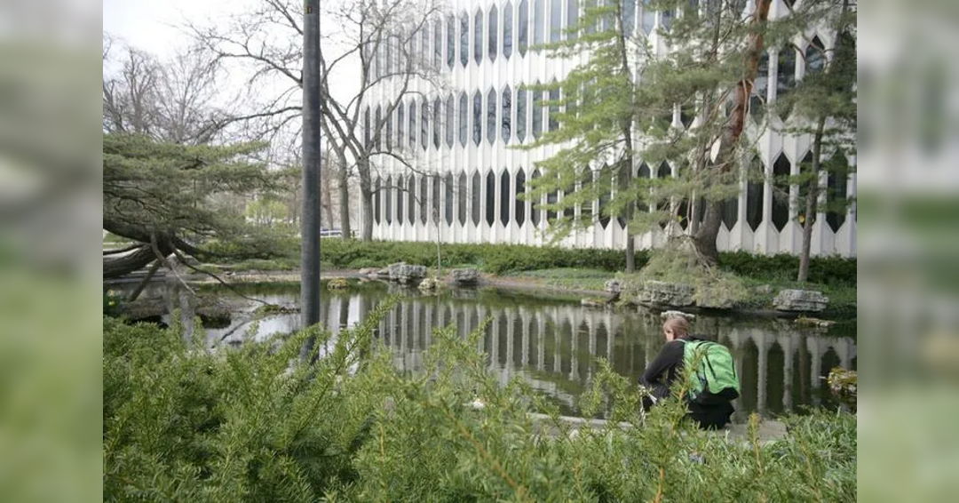 Image Flute Boot Camp Participant Recital