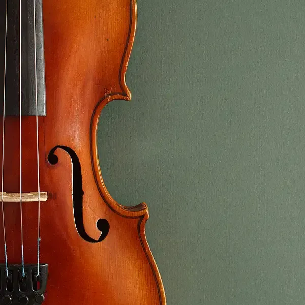 Image Chamber Music and AMP Strings Recital