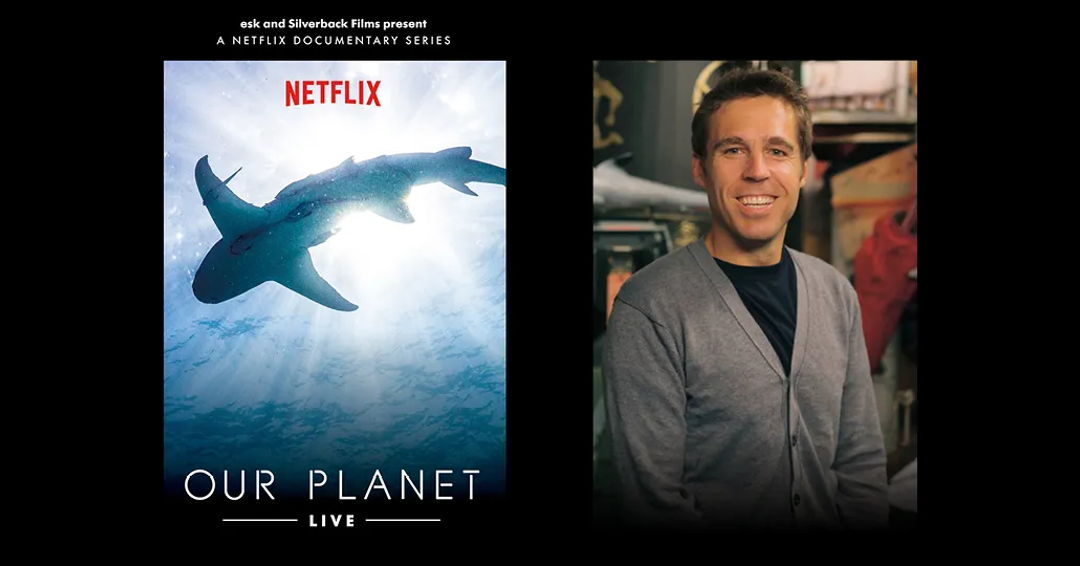 Exploring Connections: Unveiling Nature and Art at Midwest Trust Center