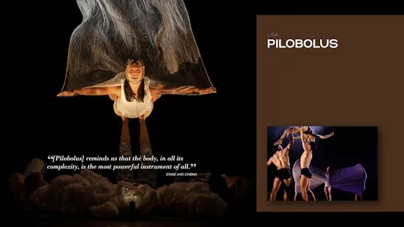 Image Pilobolus