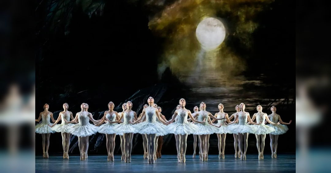 A Theatrical Journey at The Roses Theatre: Ballet, Tribute Bands, and More