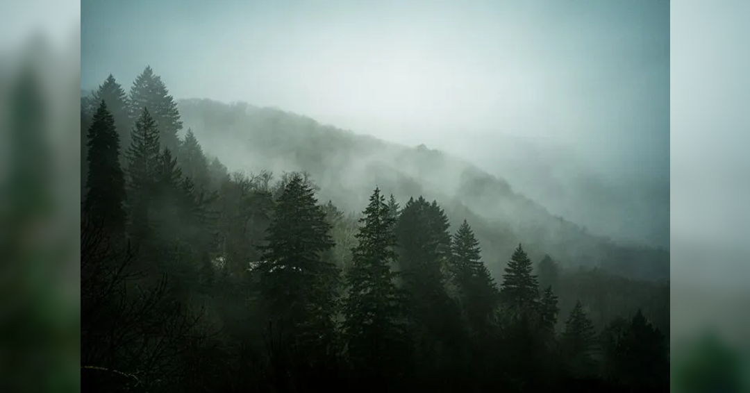 Image In A Landscape