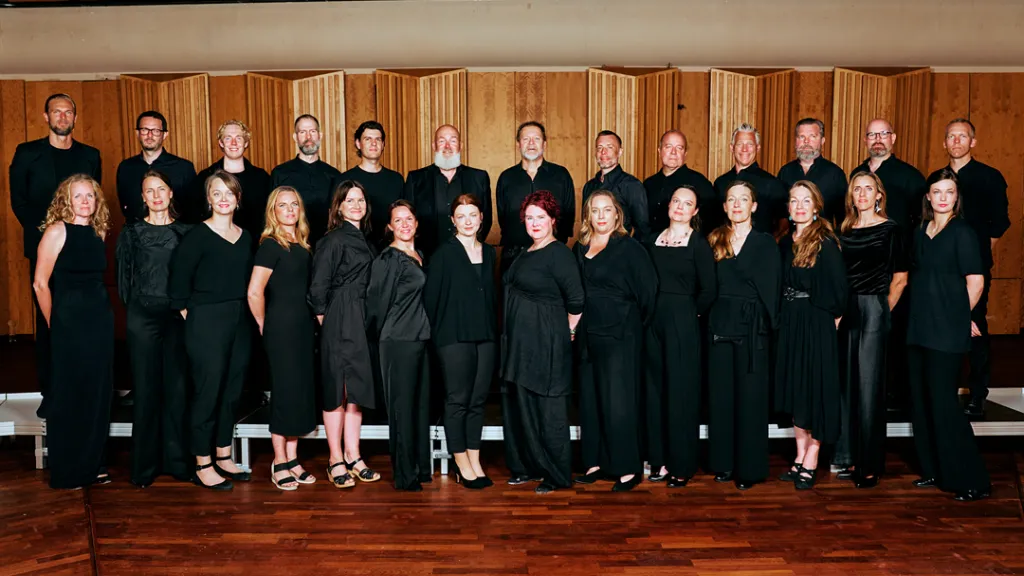 Image Swedish Radio Choir
