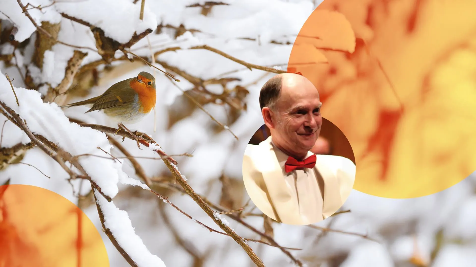 BBC NOW - Carols for Christmas