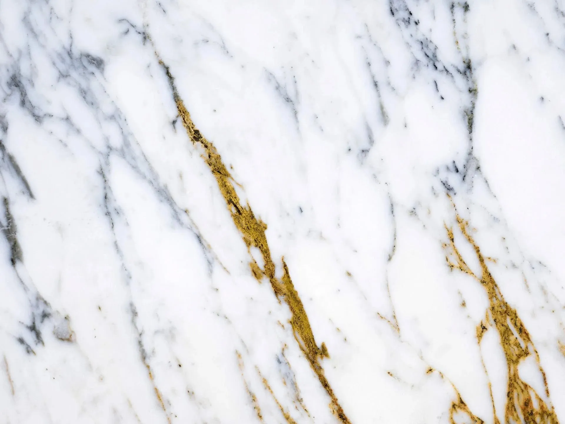 Image 4th Wall Fête