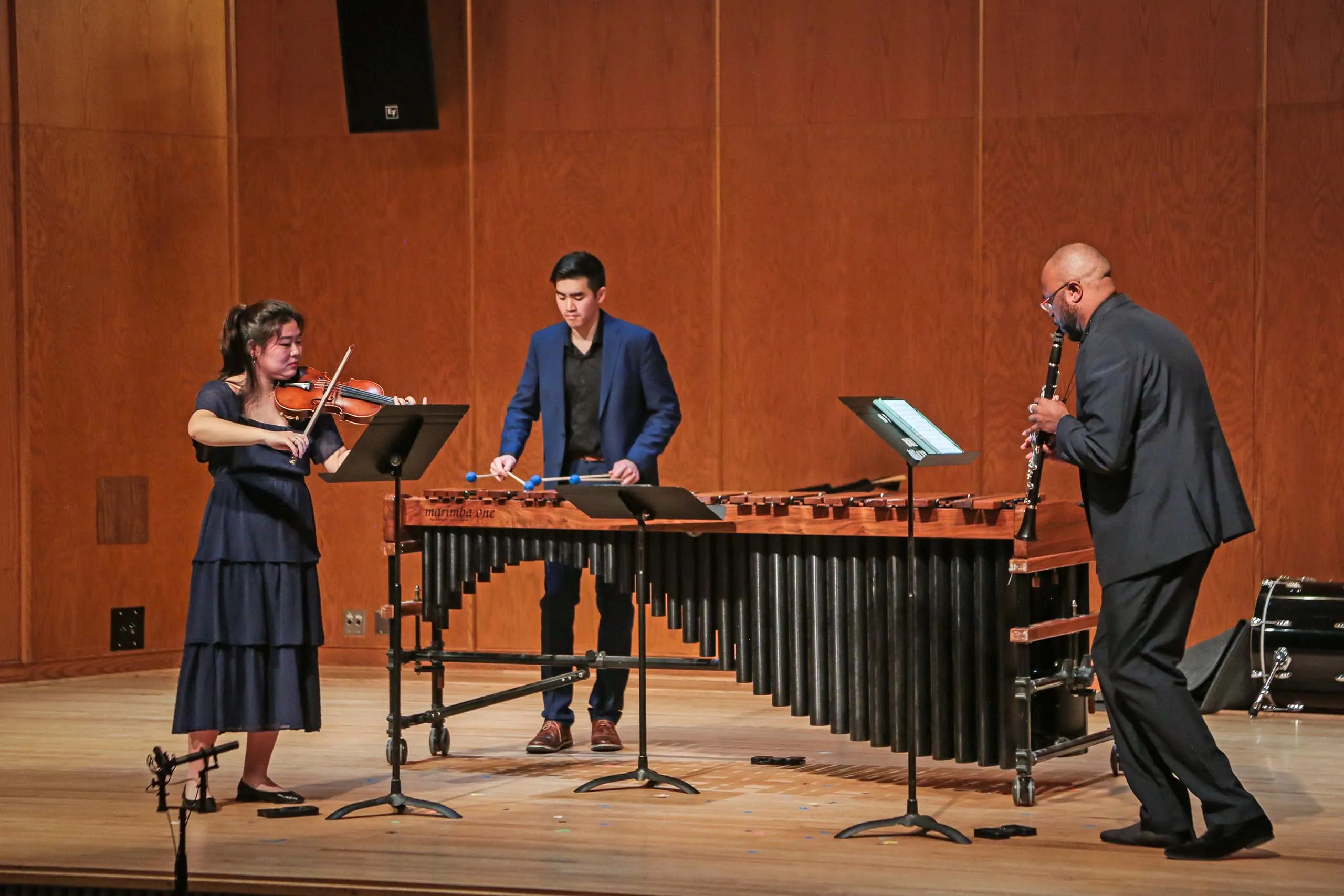 Image Chamber Music Recital