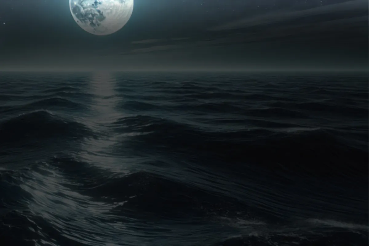 Image Moonlight & Lanterns with the Carmel Symphony Orchestra