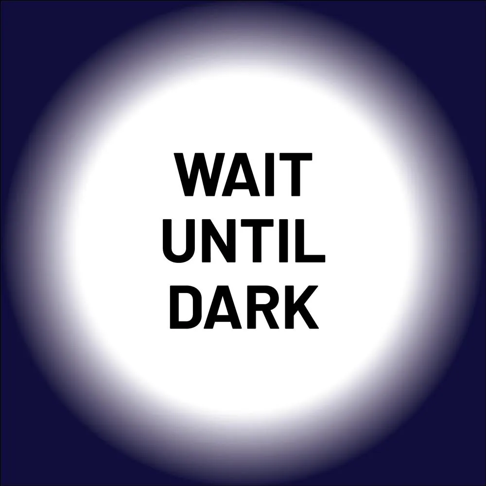 Image Wait Until Dark
