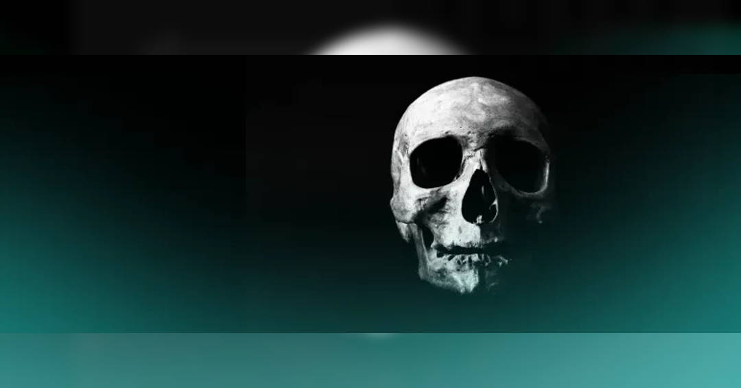 Image Bruckner's Skull