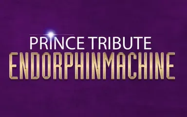 Image The Prince Experience: Endorphinmachine