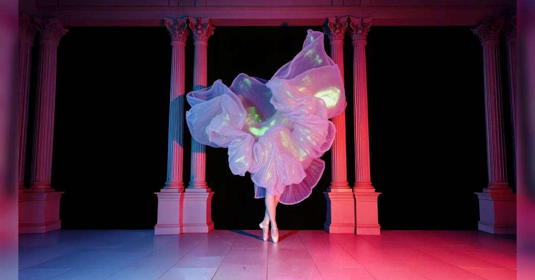 First Steps “Why Not?”