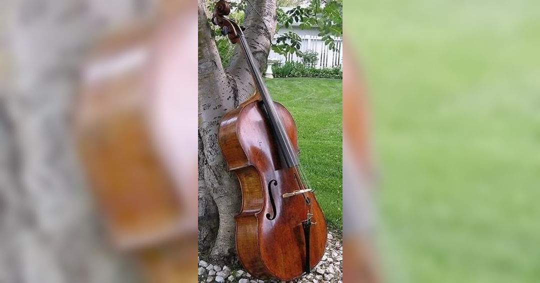 Image Cello Festival 2024