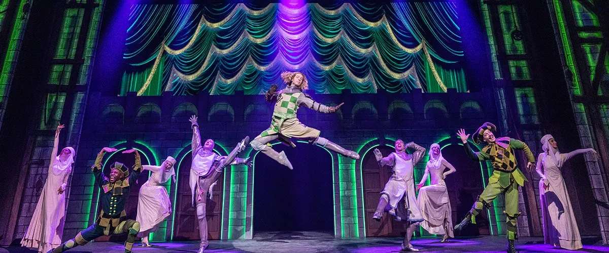 Image Monty Python's Spamalot