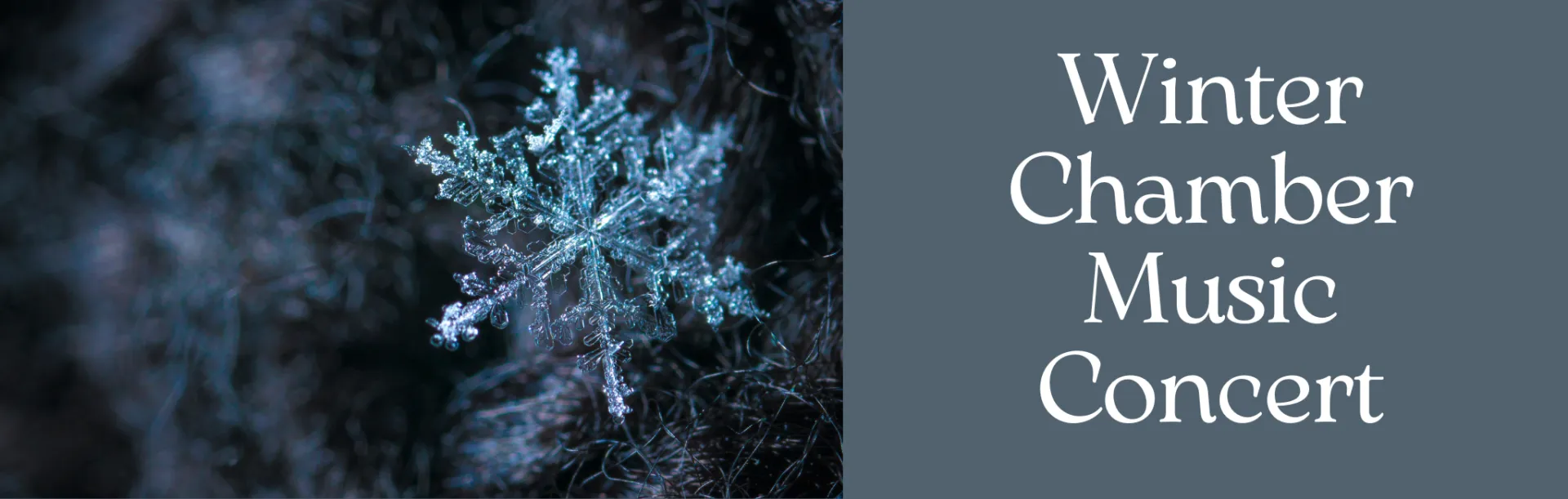 Image Winter Chamber Music Concert