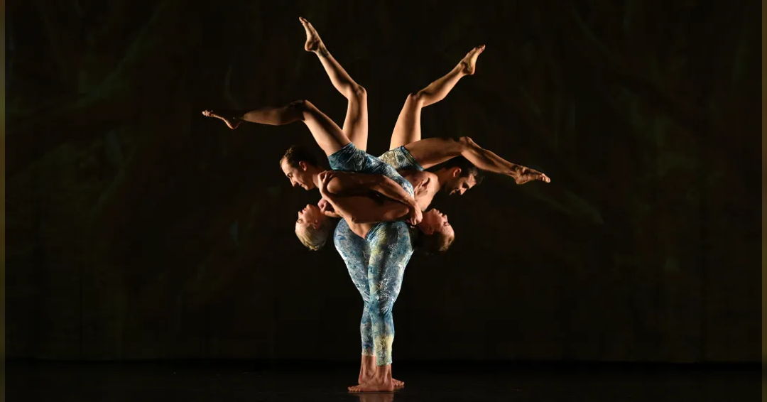 Image Momix