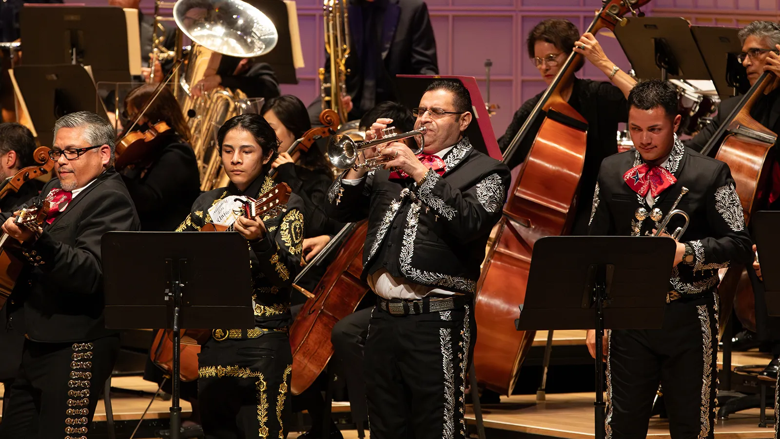 Image Día de los Muertos with the DSO