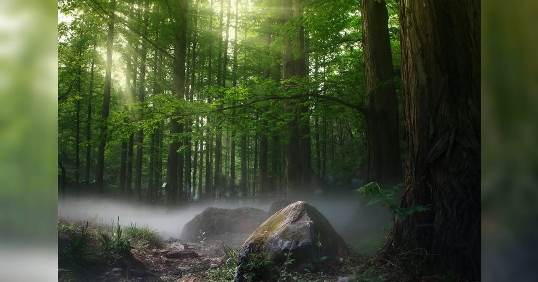High school choir concert: Street's Elverskud