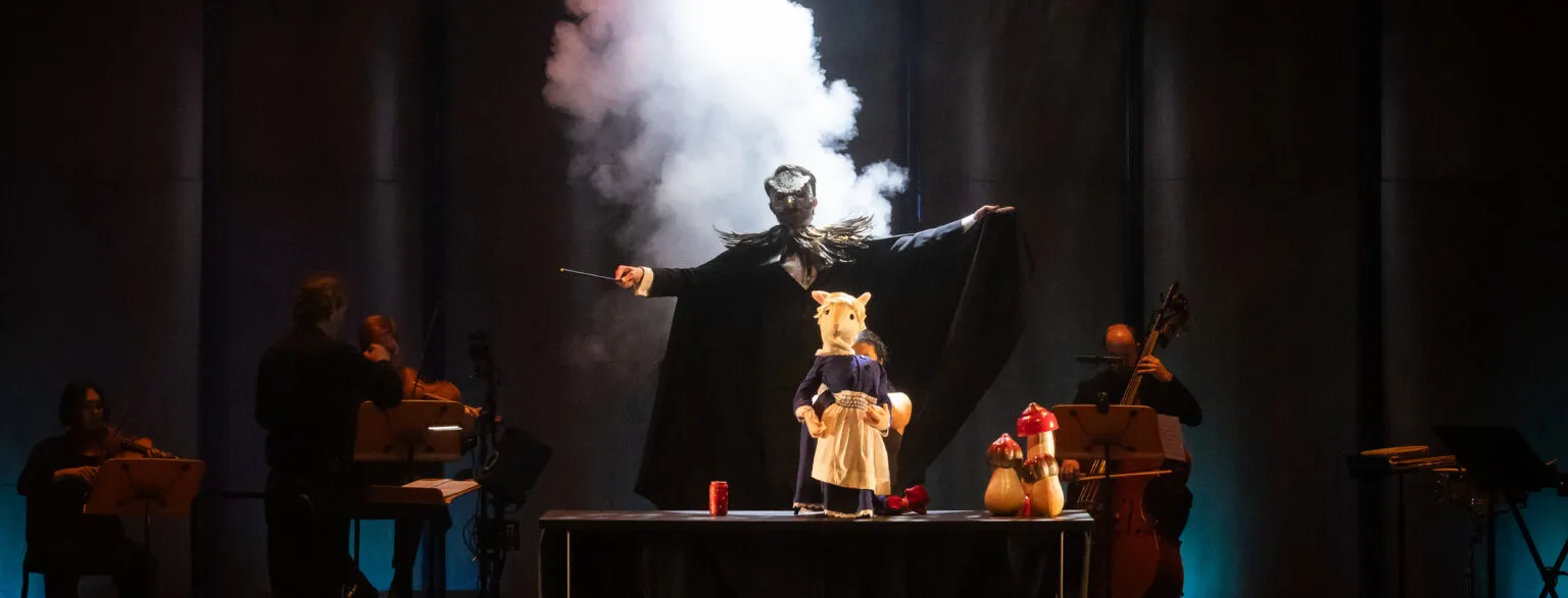 Image Mozart: Cats and Mice with Mercury Chamber Orchestra