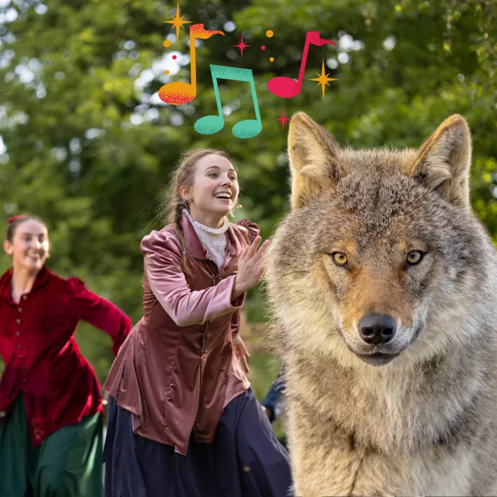 Image Peter and the Wolf