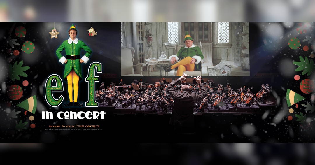 Image Elf in Concert