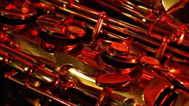 Image Teaser Festival: Sensualité ft Storm Marrero & the Josh Starkman Band