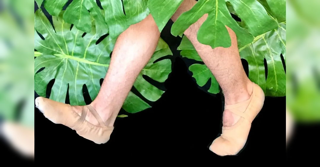 Image Contemporary Dance 11: The Jungle Book and Other Works