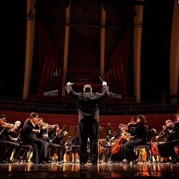 Image Conservatory Symphony Orchestra Finale