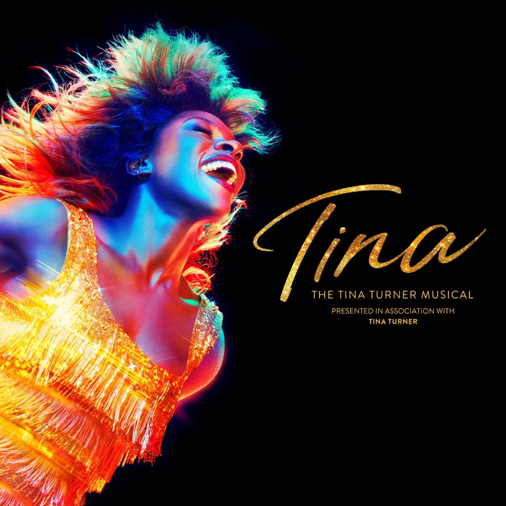Image TINA - The Tina Turner Musical