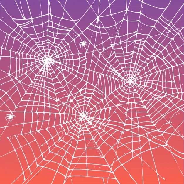 Image Concerts for Kids