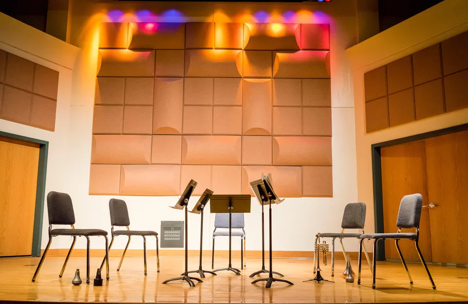 Image Frost Electroacoustic Ensemble