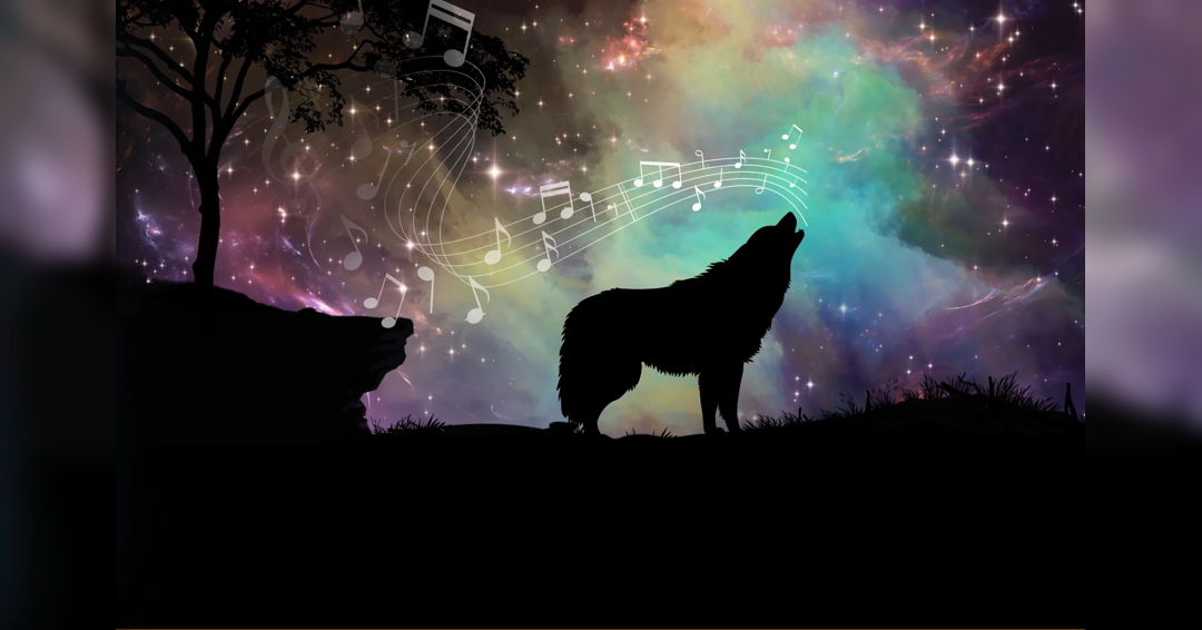 Image Peter and the Wolf