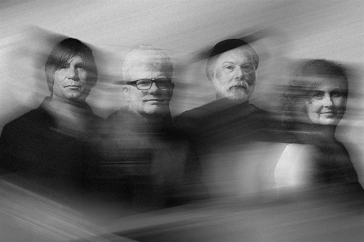 Image The New Pornographers