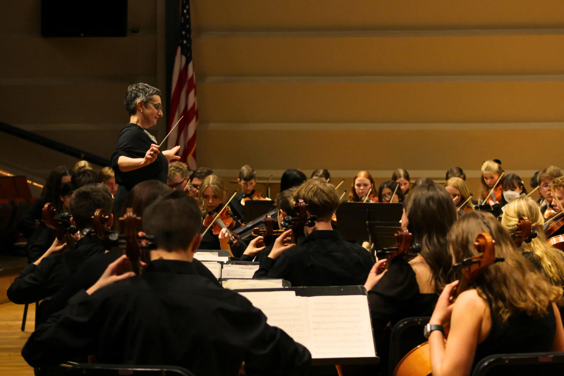 Image StringFest 2026