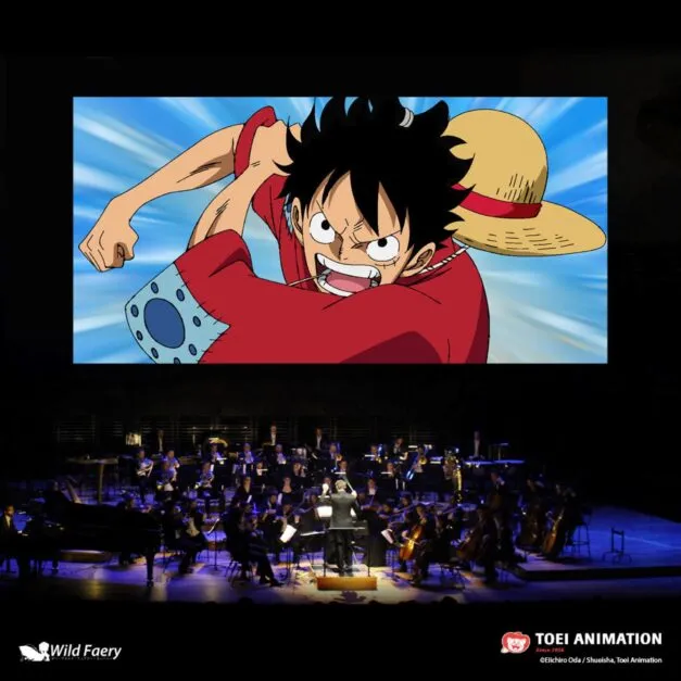 Image One Piece in Concert