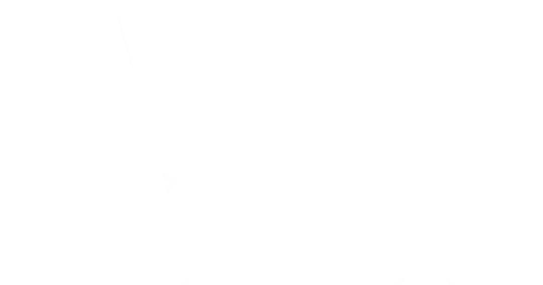 Image Night at the Musical Museum