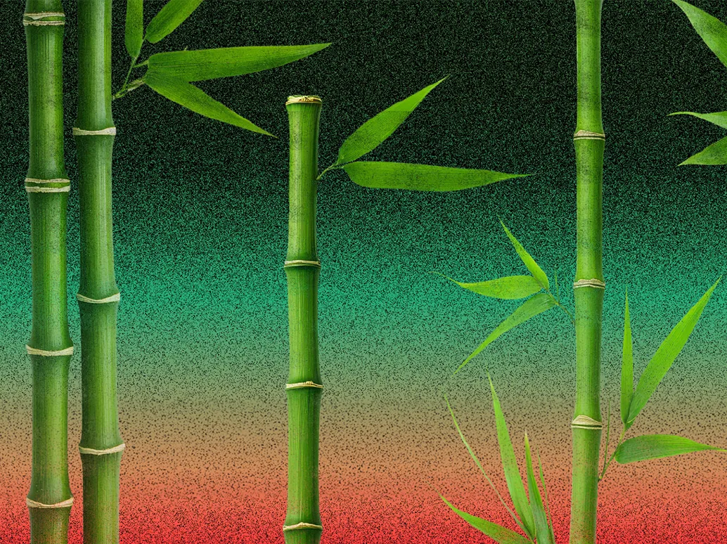 The Tale of the Gifted Prince