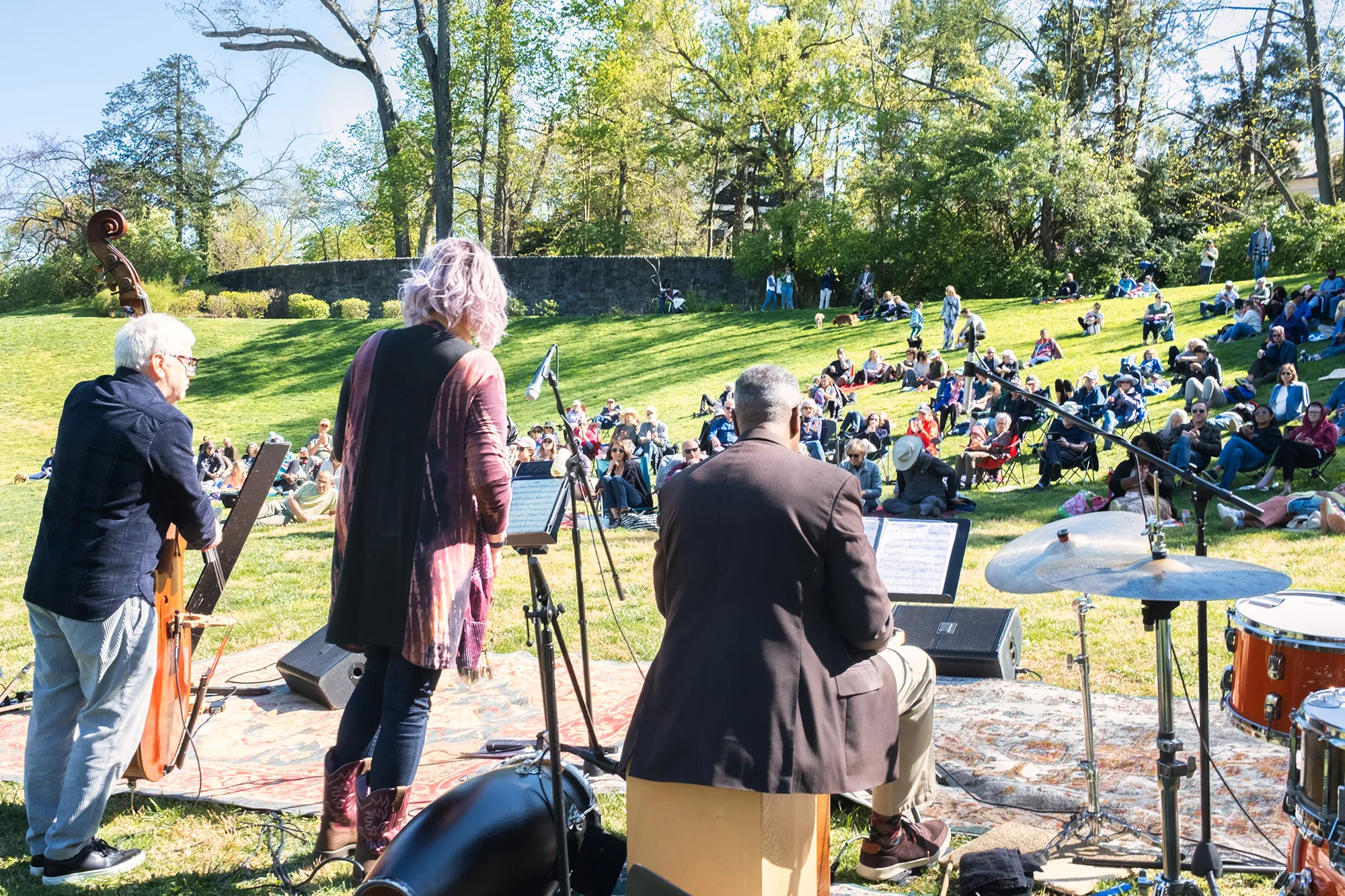Image Tregaron Meadow Concert 2027