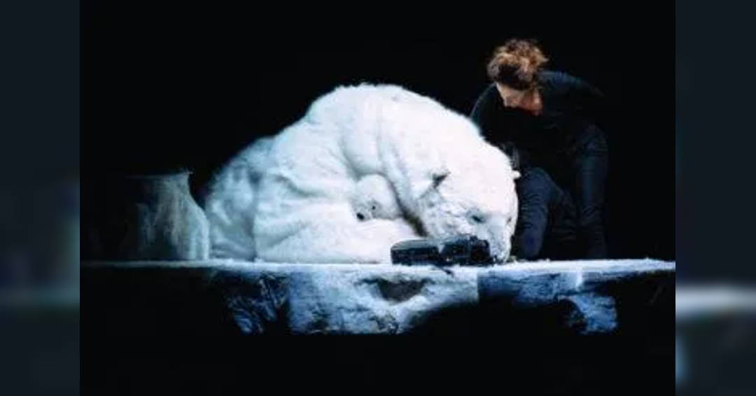 School Day Performance for Grades 5-12: Dimanche