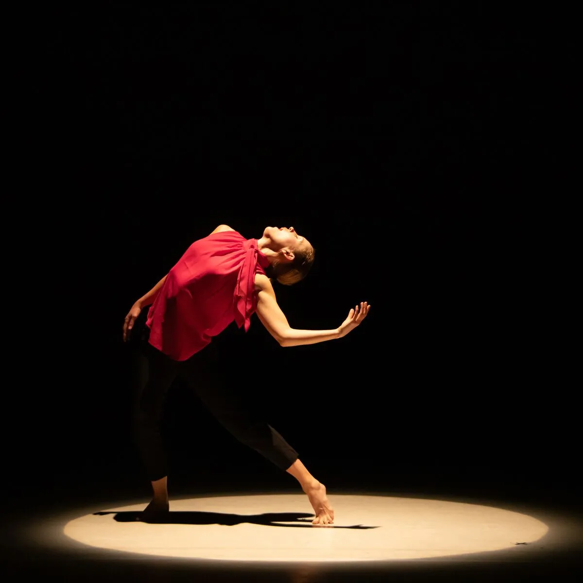 Image Dance Faculty Concert 2026
