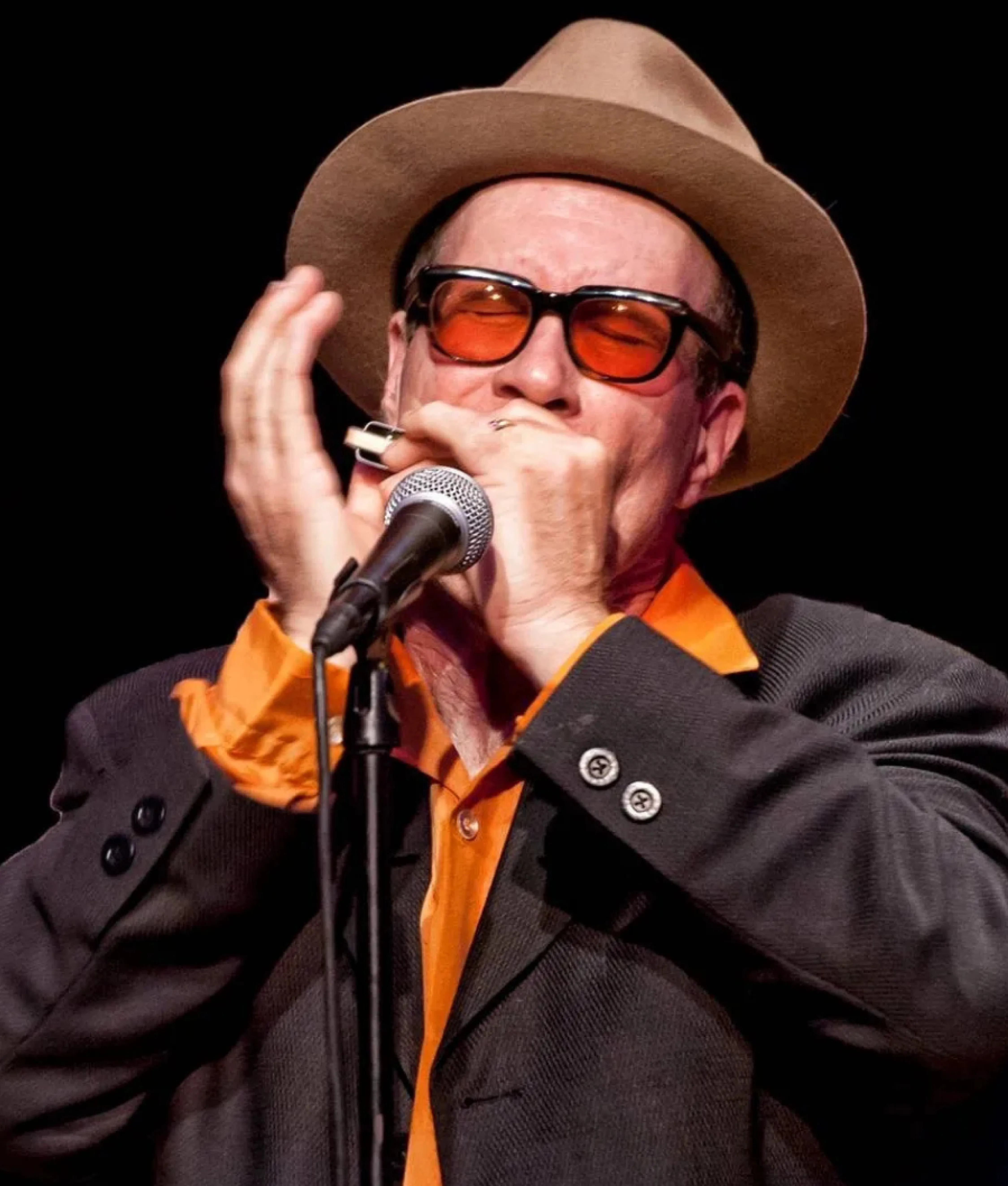 Mark Hummel - Blues Harmonica