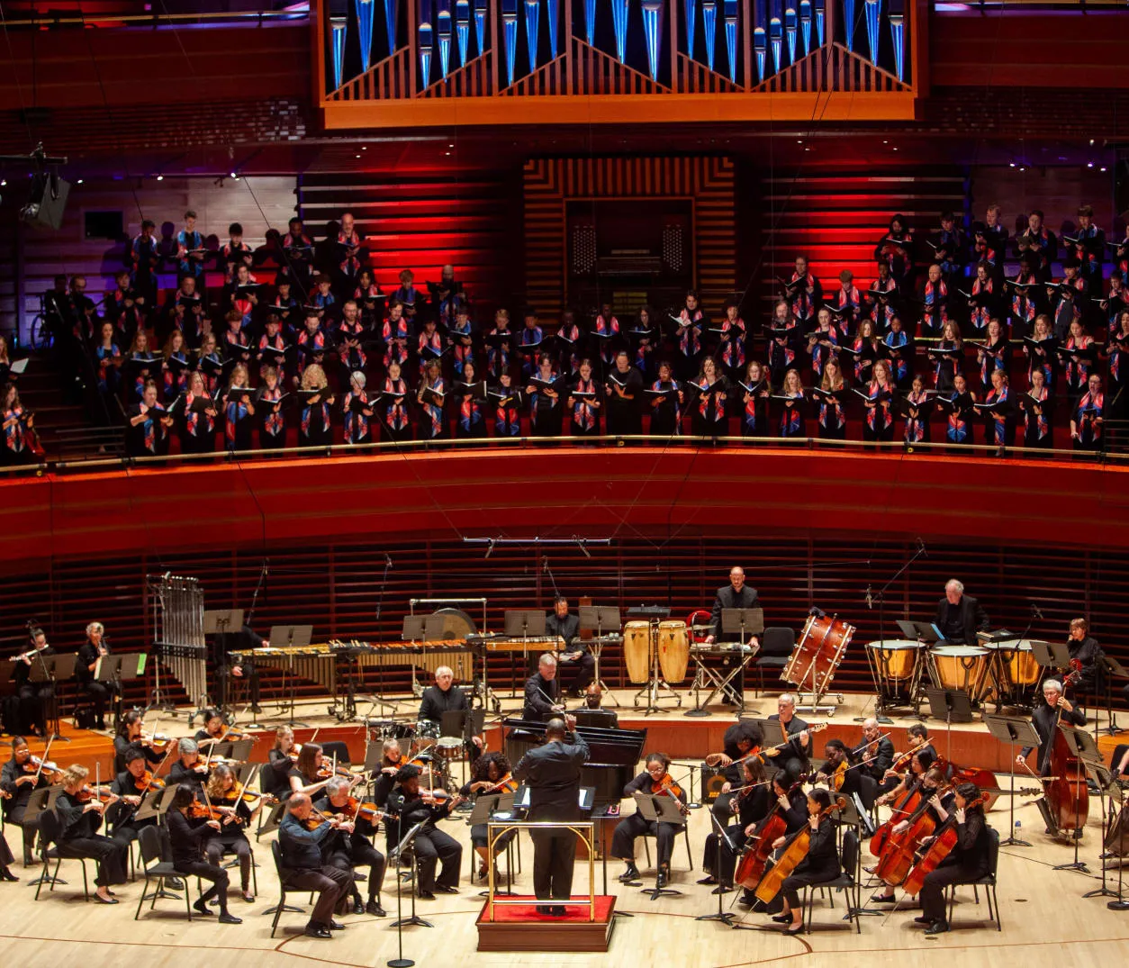 Image Sing Democracy 250