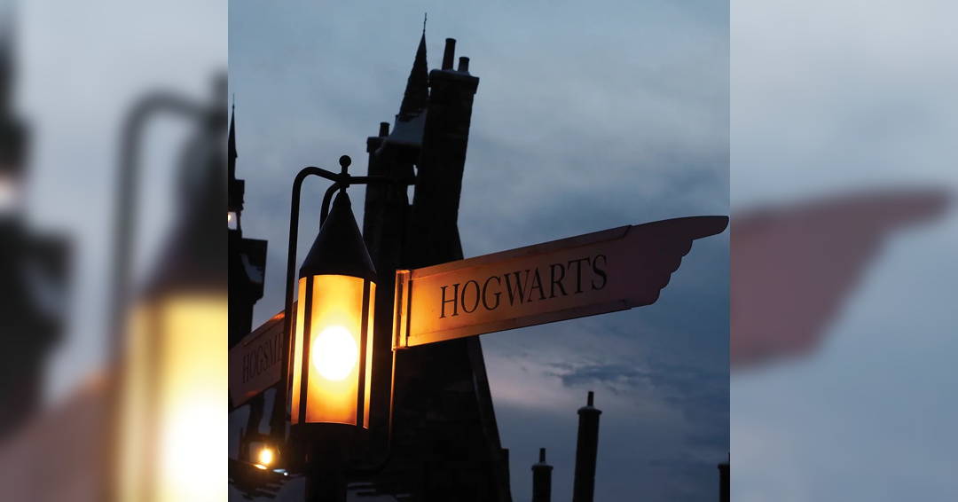 Image The Magic of Harry Potter