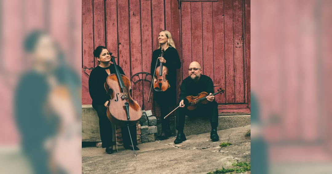 Image The Senses Trio