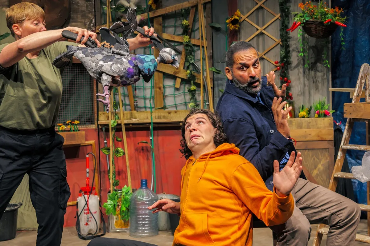 Image The Hidden Garden