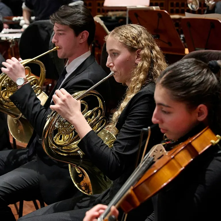 Image Brahms 4