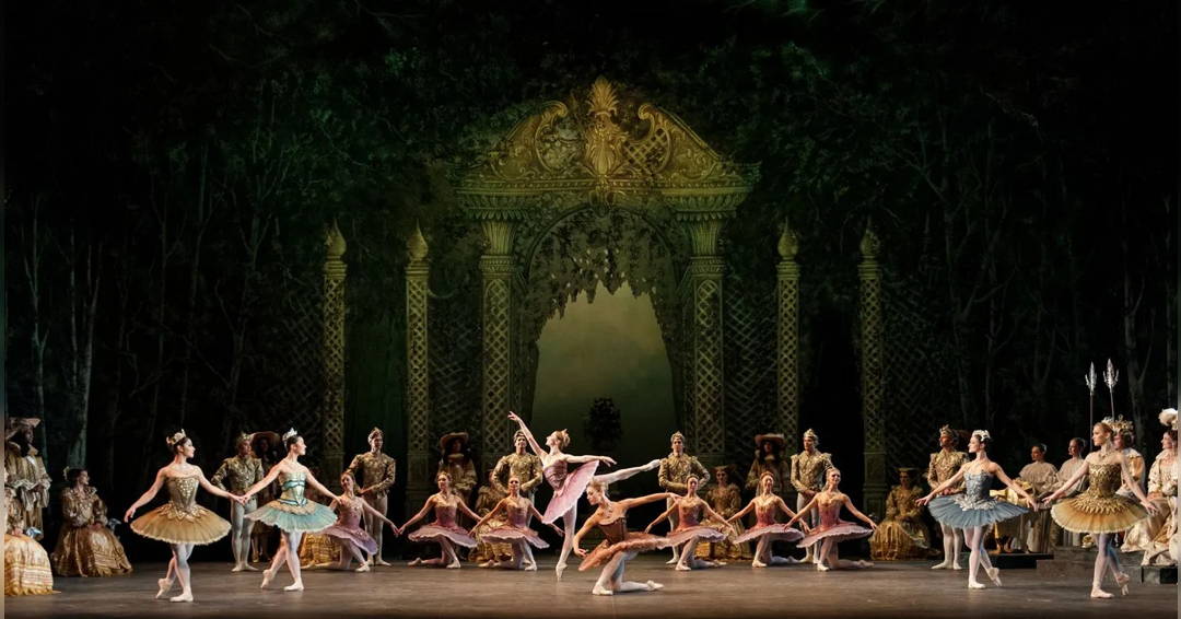 Image The Sleeping Beauty